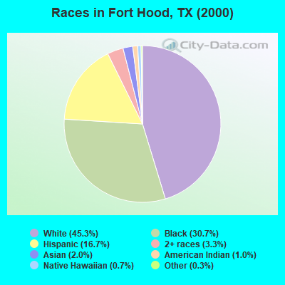 Races in Fort Hood, TX (2000)