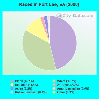 Races in Fort Lee, VA (2000)