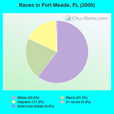Races in Fort Meade, FL (2000)