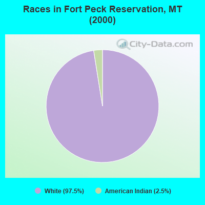 Races in Fort Peck Reservation, MT (2000)