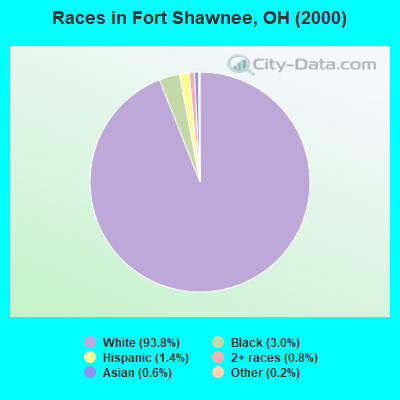 Races in Fort Shawnee, OH (2000)