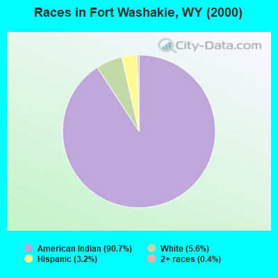 Races in Fort Washakie, WY (2000)
