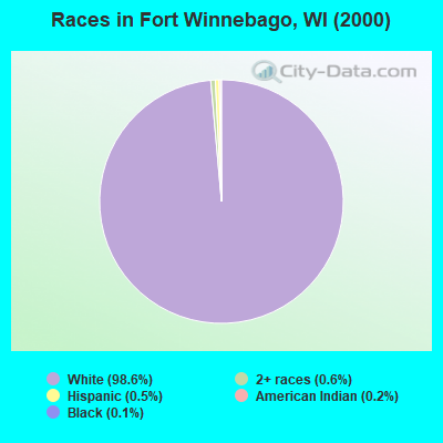 Races in Fort Winnebago, WI (2000)