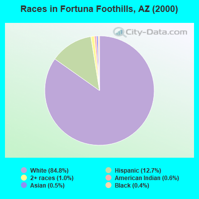 Races in Fortuna Foothills, AZ (2000)