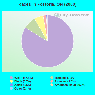 Races in Fostoria, OH (2000)