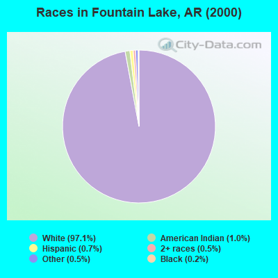 Races in Fountain Lake, AR (2000)