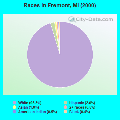 Races in Fremont, MI (2000)