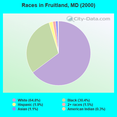Races in Fruitland, MD (2000)