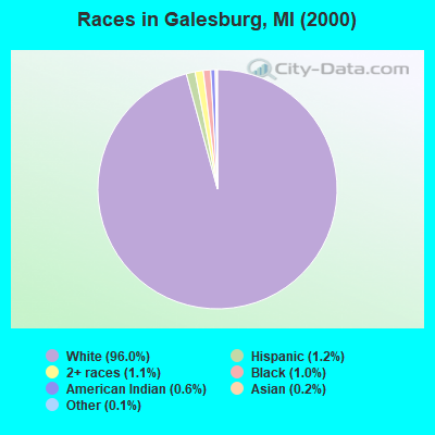 Races in Galesburg, MI (2000)