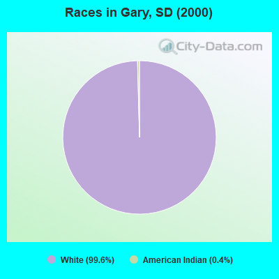 Races in Gary, SD (2000)