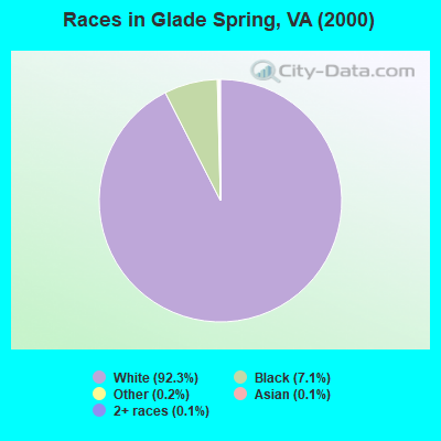 Races in Glade Spring, VA (2000)