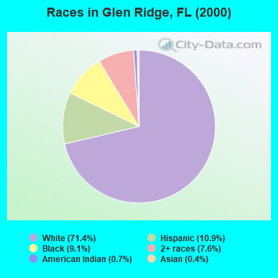 Races in Glen Ridge, FL (2000)