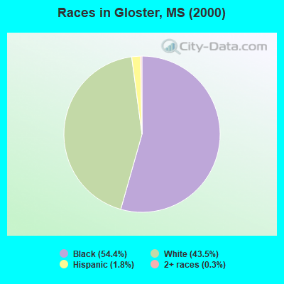 Races in Gloster, MS (2000)