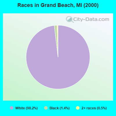 Races in Grand Beach, MI (2000)