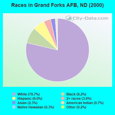 Races in Grand Forks AFB, ND (2000)