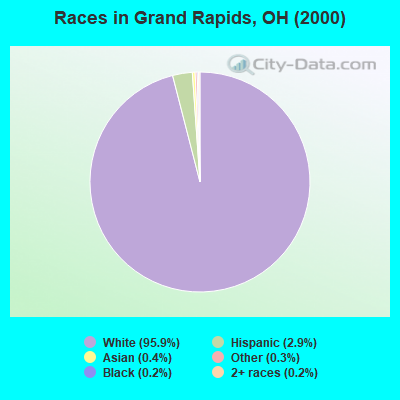 Races in Grand Rapids, OH (2000)