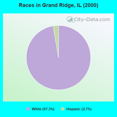 Races in Grand Ridge, IL (2000)