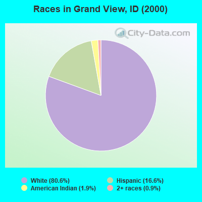 Races in Grand View, ID (2000)