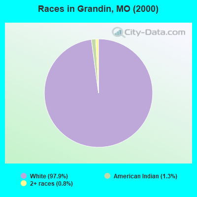 Races in Grandin, MO (2000)