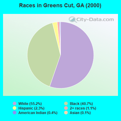 Races in Greens Cut, GA (2000)