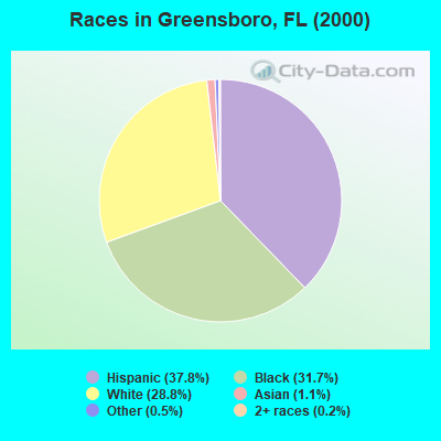 Races in Greensboro, FL (2000)