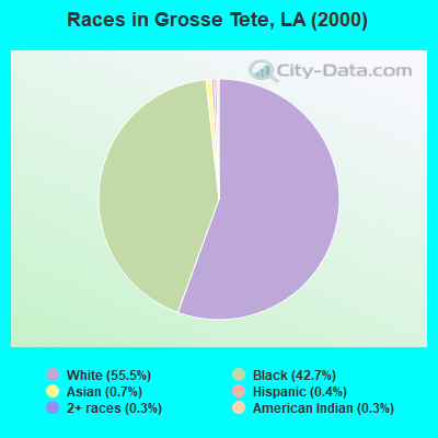 Races in Grosse Tete, LA (2000)