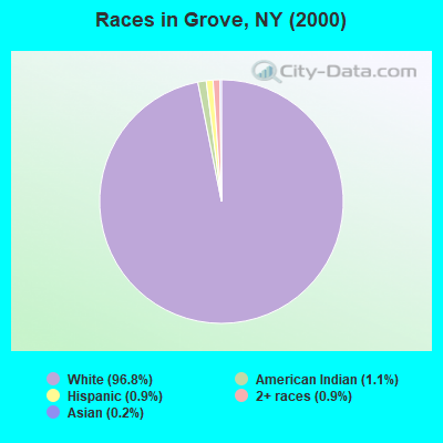 Races in Grove, NY (2000)