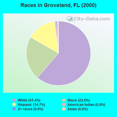 Races in Groveland, FL (2000)