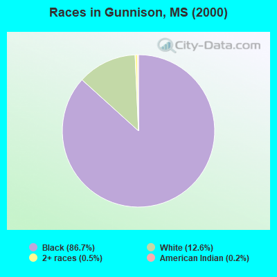 Races in Gunnison, MS (2000)