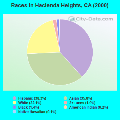 Races in Hacienda Heights, CA (2000)