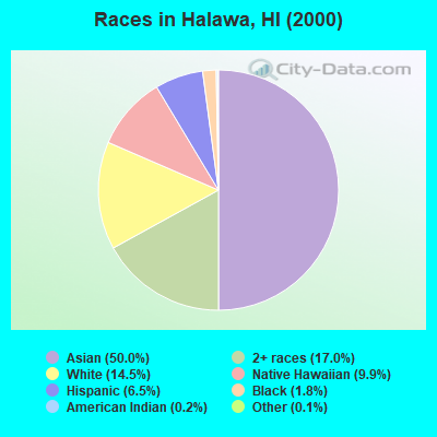 Races in Halawa, HI (2000)