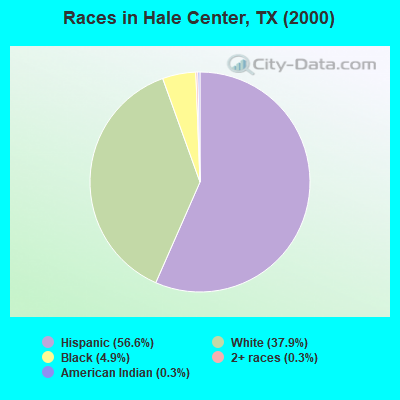 Races in Hale Center, TX (2000)