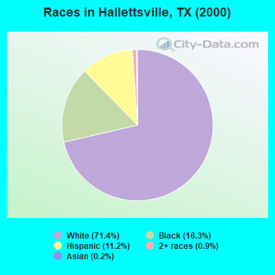Races in Hallettsville, TX (2000)