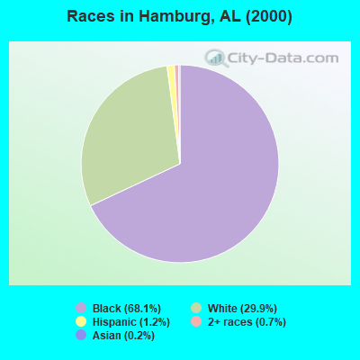 Races in Hamburg, AL (2000)