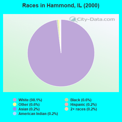 Races in Hammond, IL (2000)