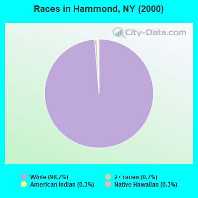 Races in Hammond, NY (2000)