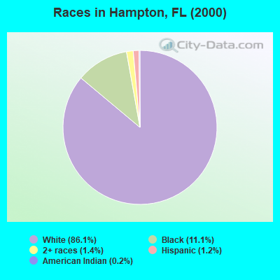 Races in Hampton, FL (2000)