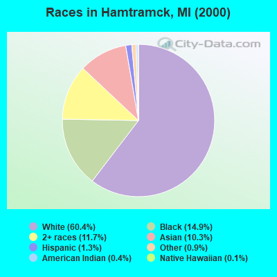 Races in Hamtramck, MI (2000)