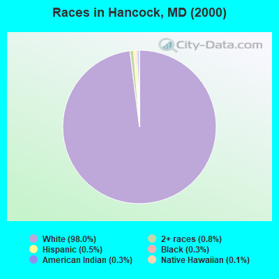 Races in Hancock, MD (2000)