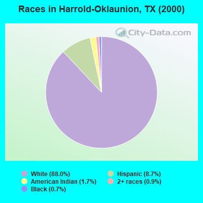 Races in Harrold-Oklaunion, TX (2000)