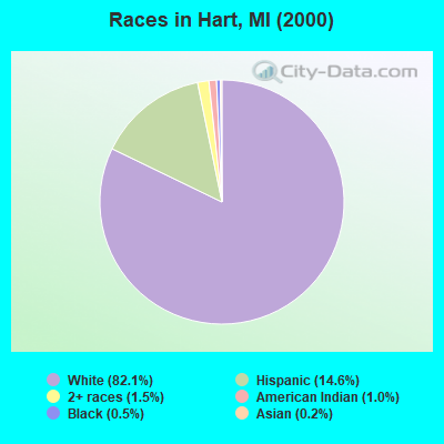 Races in Hart, MI (2000)