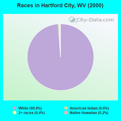 Races in Hartford City, WV (2000)
