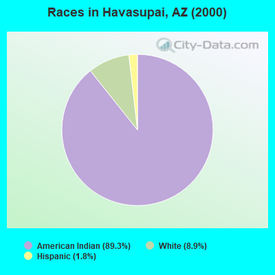 Races in Havasupai, AZ (2000)