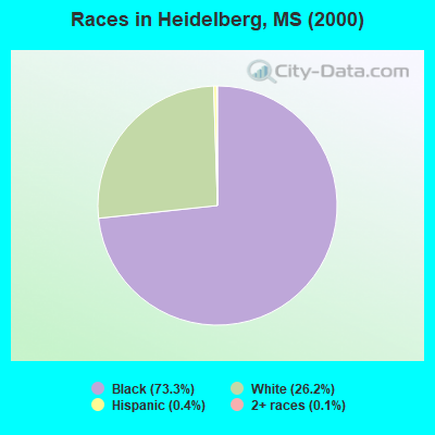 Races in Heidelberg, MS (2000)