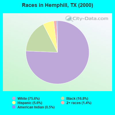 Races in Hemphill, TX (2000)