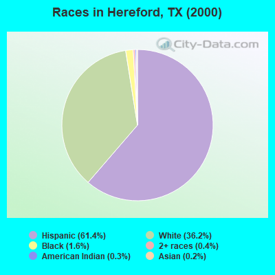 Races in Hereford, TX (2000)