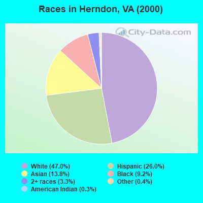 Races in Herndon, VA (2000)