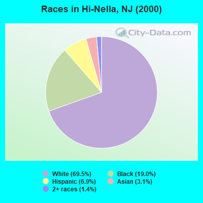 Races in Hi-Nella, NJ (2000)