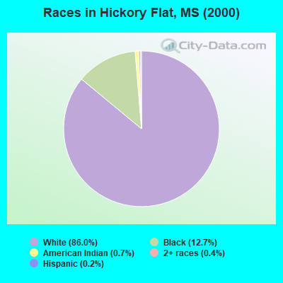 Races in Hickory Flat, MS (2000)