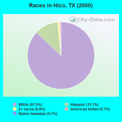Races in Hico, TX (2000)